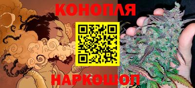 шишки Балахна