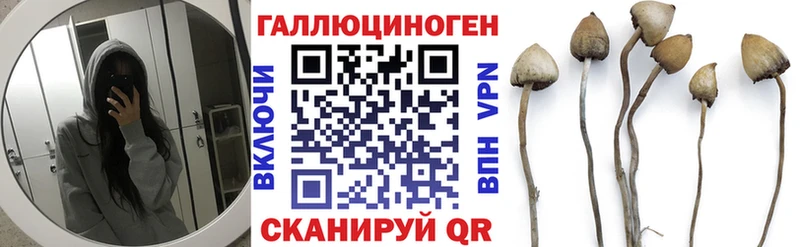 Псилоцибиновые грибы GOLDEN TEACHER купить наркотик Выборг