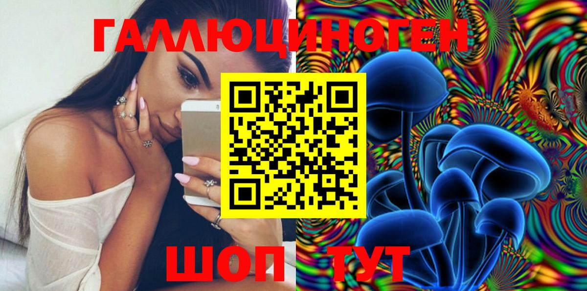 Галлюциногенные грибы прущие грибы  Псилоцибиновые грибы мицелий  Выборг 